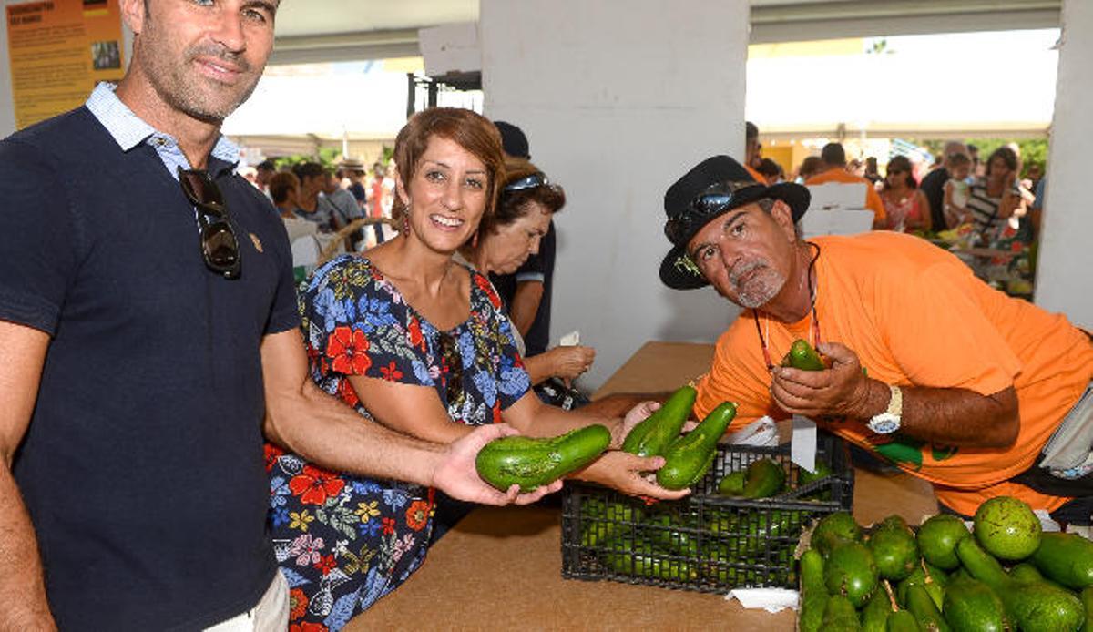 Mogán pretende potenciar el aguacate verruga con su denominación de origen