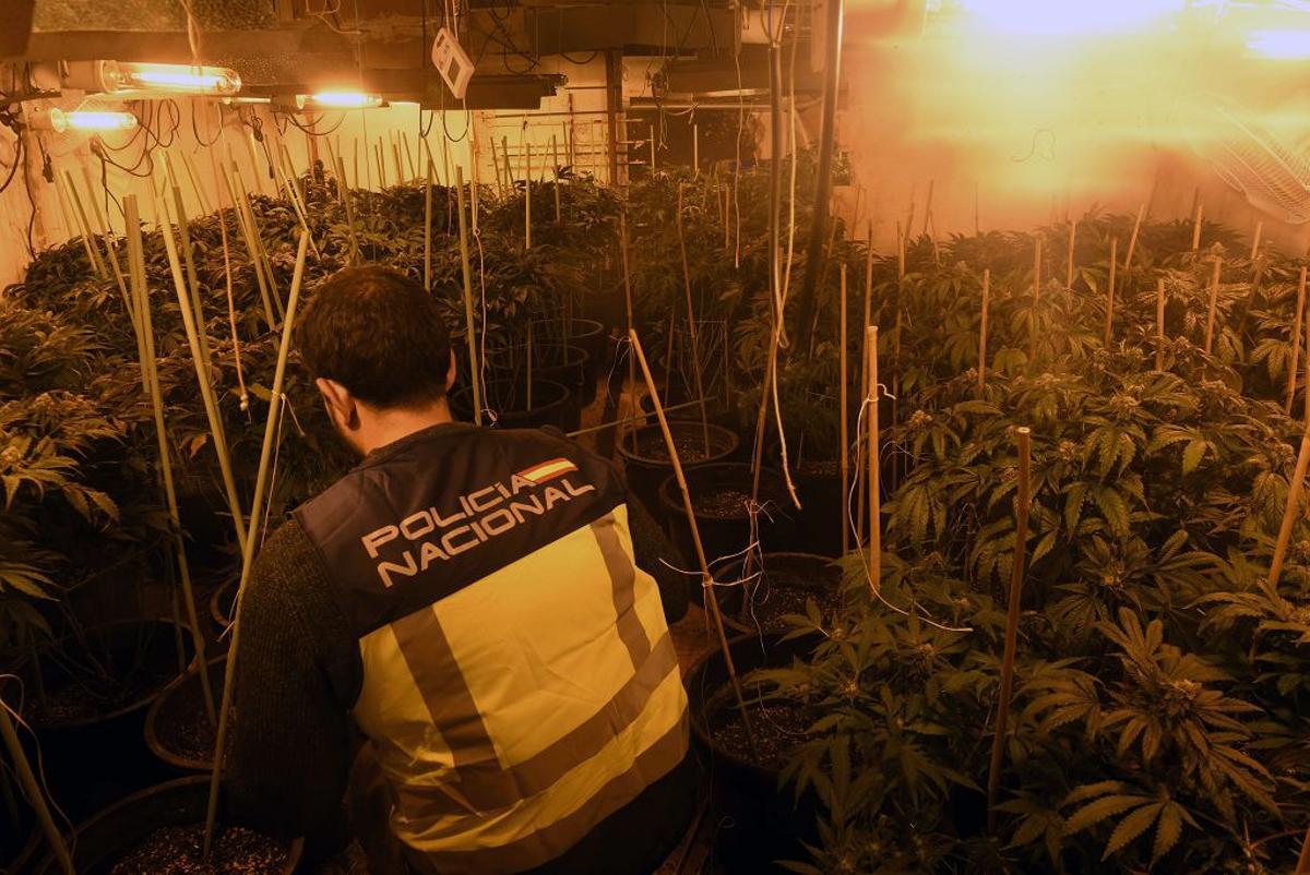 Las imágenes de la redada contra el narcotráfico en el Polígono de La Paz en Murcia Las imágenes de la redada contra el narcotráfico en el Polígono de La Paz en Murcia