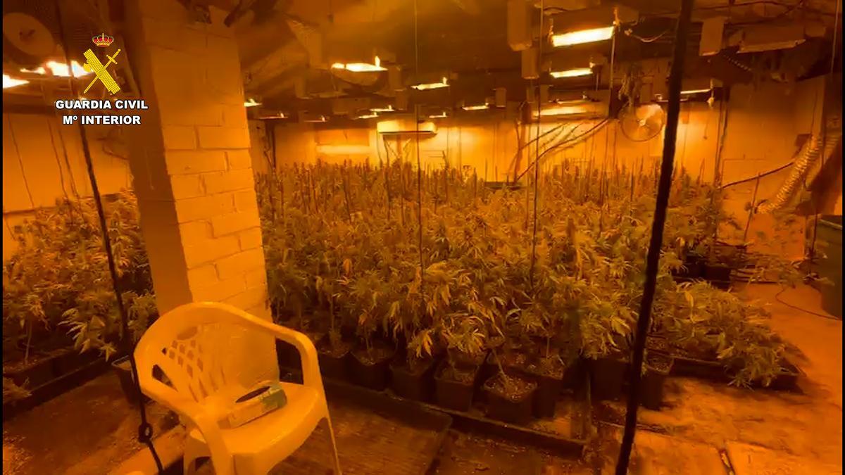 VÍDEO | La Guàrdia Civil desmantella un nou cultiu de marihuana en una casa "reincident" de Riudarenes