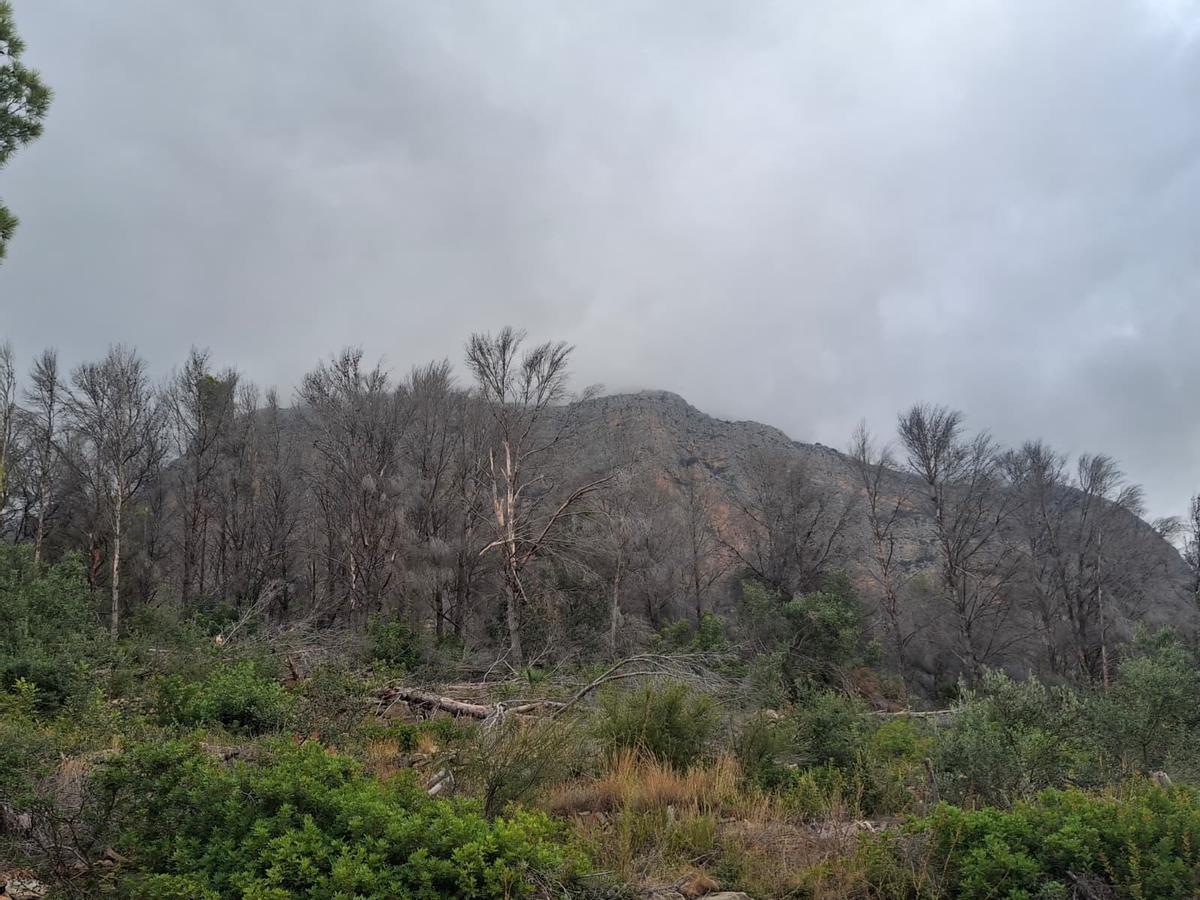 El bochorno abraza el Montgó: la ladera de Xàbia llegó el martes a 40º (imágenes)