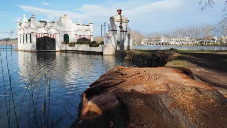 Desapareix un paisatge característic de l&#039;estany de Banyoles