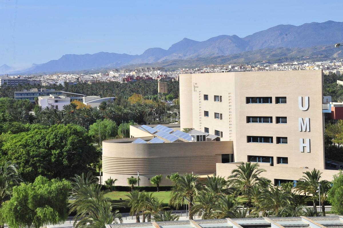 Panoramicas del campus de Elche de la UMH desde el edificio Valona