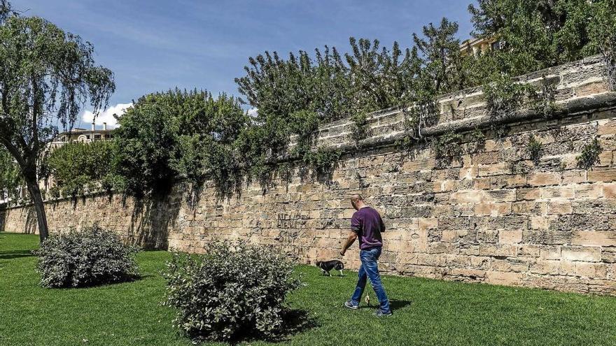Wildwuchs nagt an Palmas alter Stadtmauer
