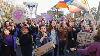 Manifestación del 8M en Córdoba: todas juntas pero no revueltas