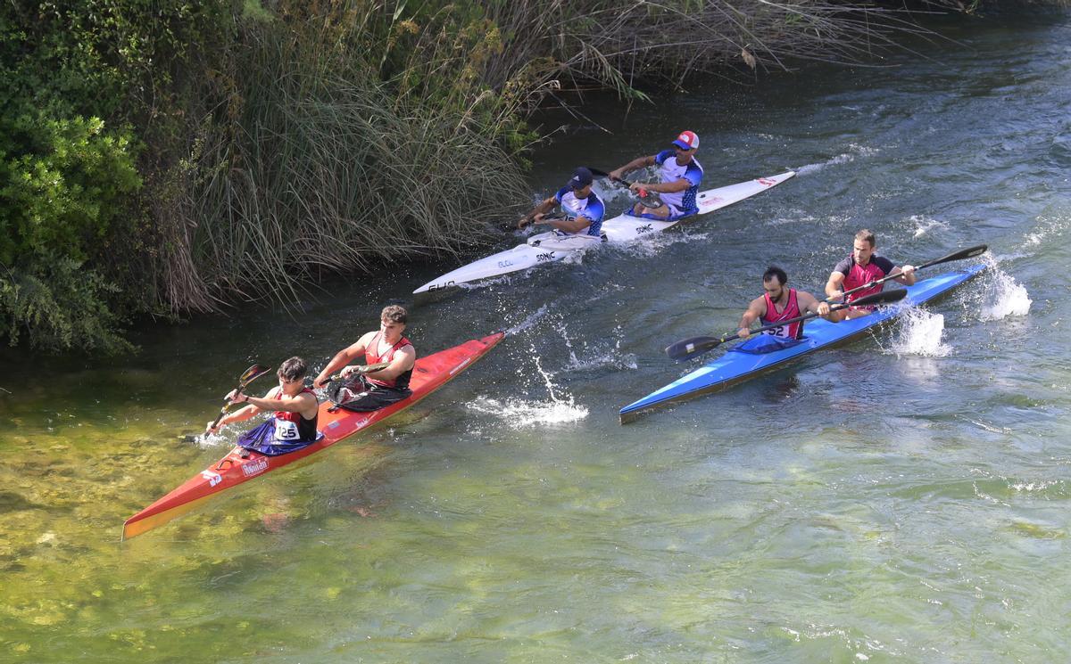 El Descens del Xúquer está organizado por el Consorci de La Ribera, la Federación de Piragüismo de la Comunidad Valenciana, los clubes Scooter Club de Algemesí, Club de Piragüismo Sueca, Penya Piragüista de Antella y Club de Piragüisme l’Almenara de Sumacàrcer.