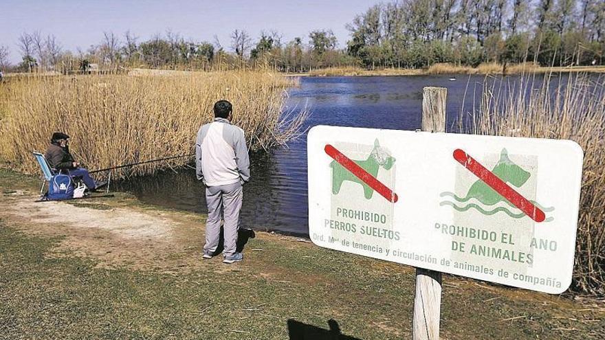 La fauna salvaje del parque lineal de Plaza