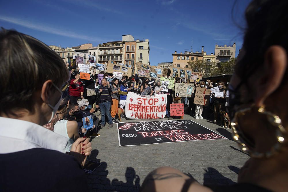 Concentració a Girona per reclamar l'alliberament dels animals de Vivotecnia de Madrid