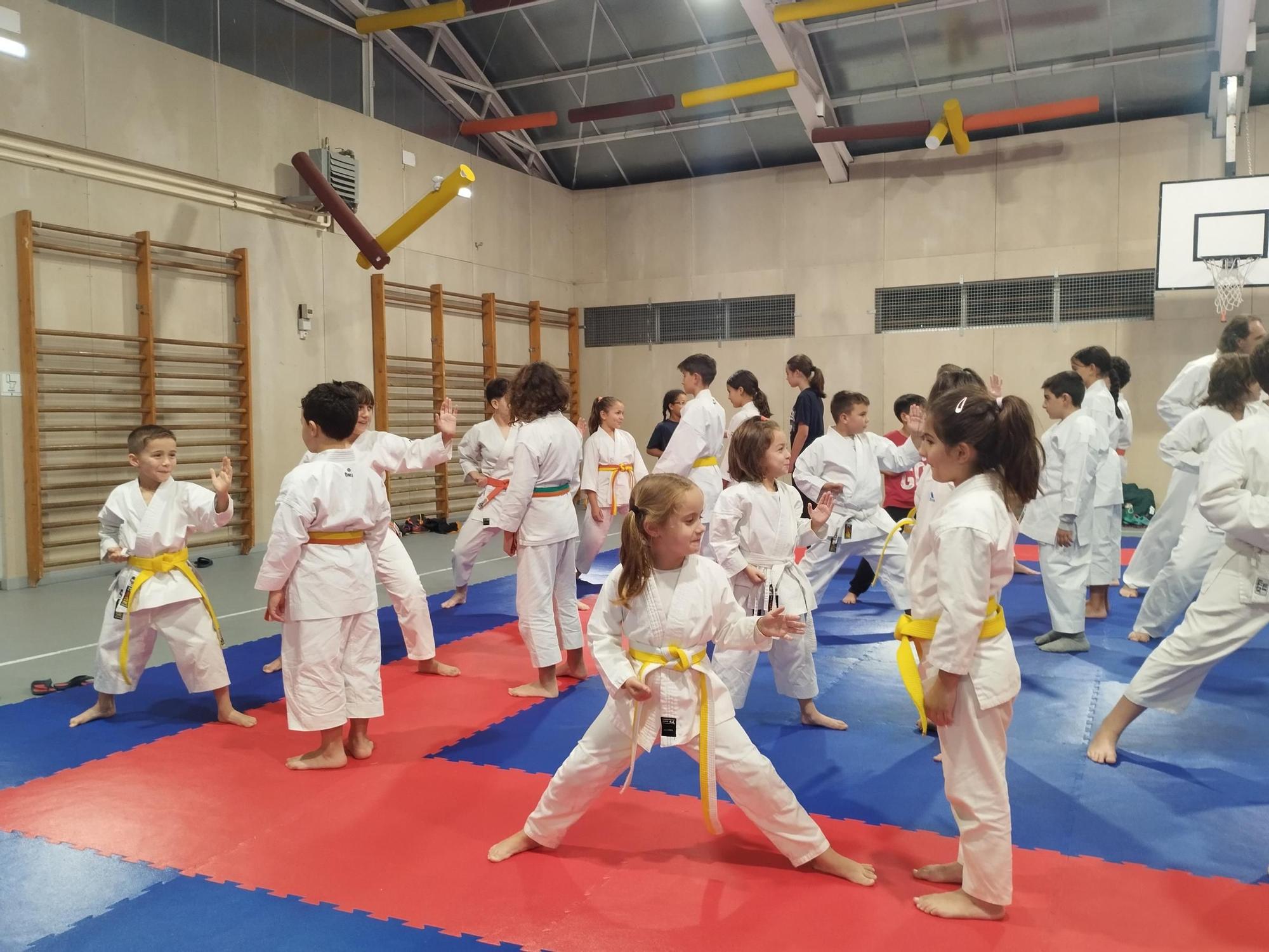 El tai-jitsu, el arte de defensa de los guerreros samurái conquista en Llanera