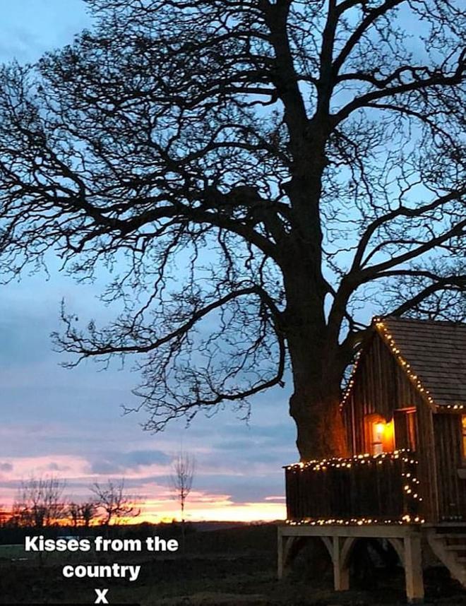 La cabaña en el árbol de Harper Beckham