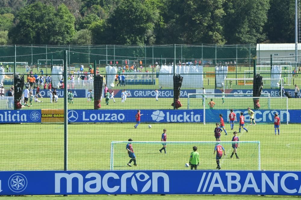 Torneo en Abegondo de equipos benxamín e prebenxamín