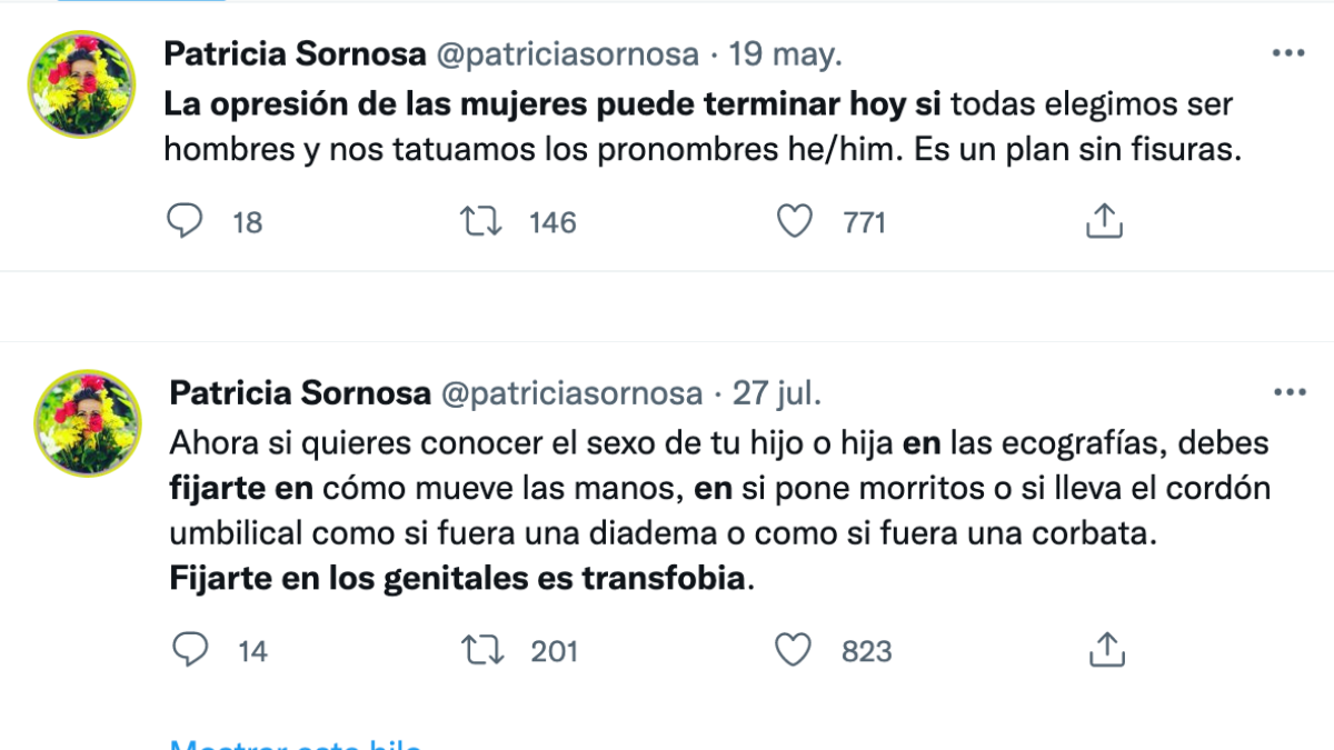 Algunos de los polémicos tuits de Patricia Sornosa.