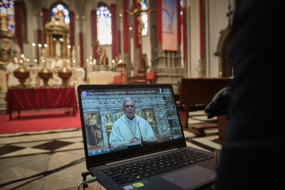 Misa Crismal en la Catedral