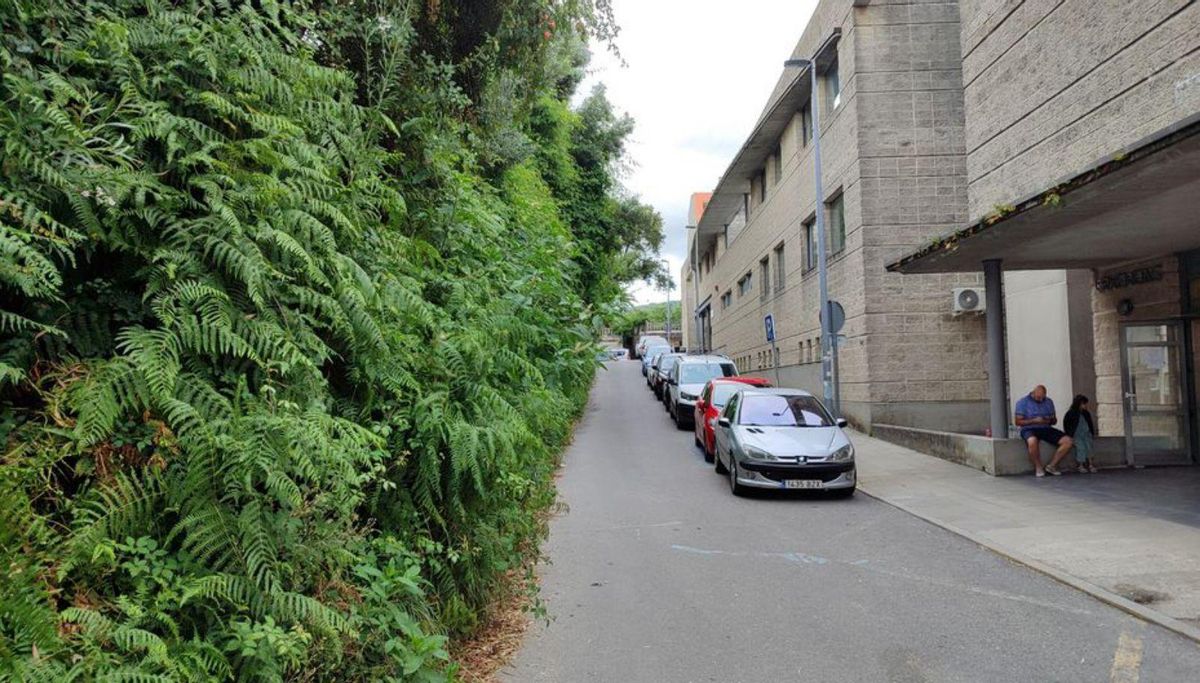 La vegetación abunda en numerosos viales del municipio. | G. N.