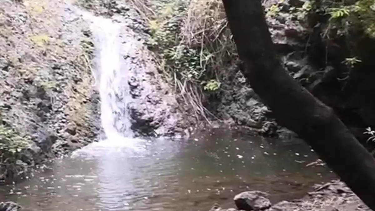 ¿Conoces el mirador escondido  en mitad del barranco más profundo del norte de Gran Canaria?