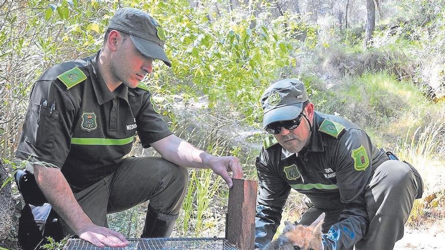 La Región de Murcia tramitó 791 denuncias por daños al medio natural en 2025