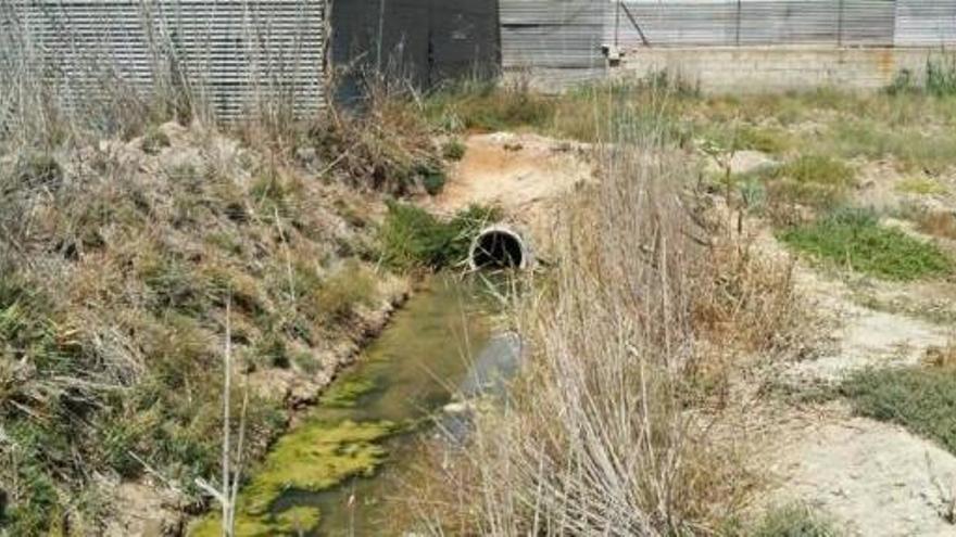 Vertidos tóxicos en la huerta