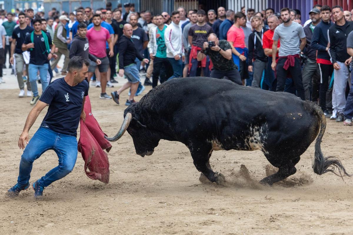 Bou per la vila.