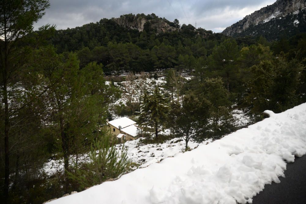 Los mallorquines salen a jugar con la nieve