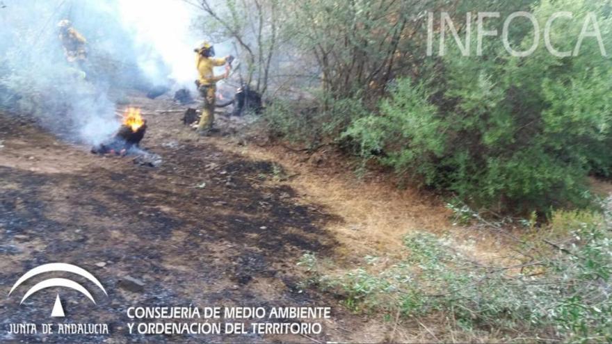 Controlado el incendio en San Rafael de Navallana