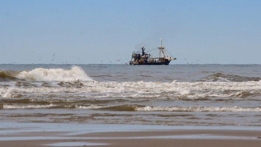 The tuna sector receives 400,000 euros on World Fishing Day