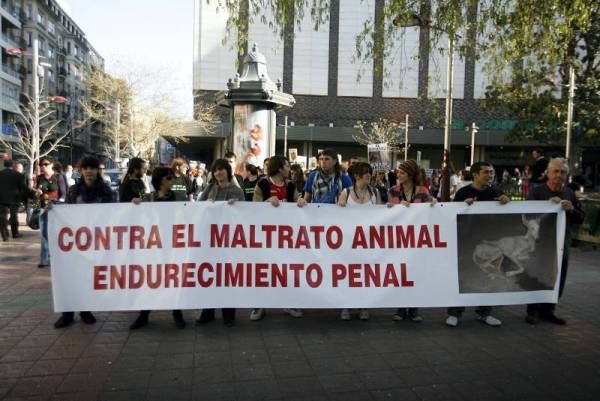 Clamor contra el maltrato animal