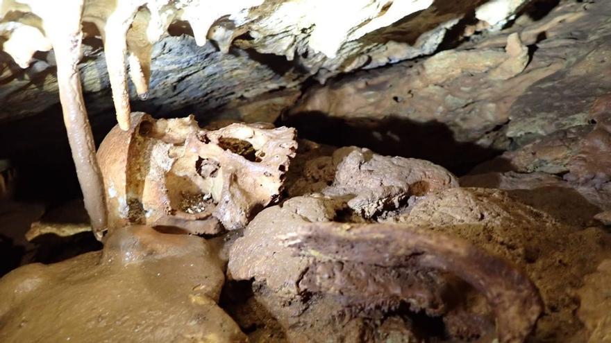 Un cráneo humano de más de 4.000 años: así es el último gran hallazgo arqueológico en Castellón