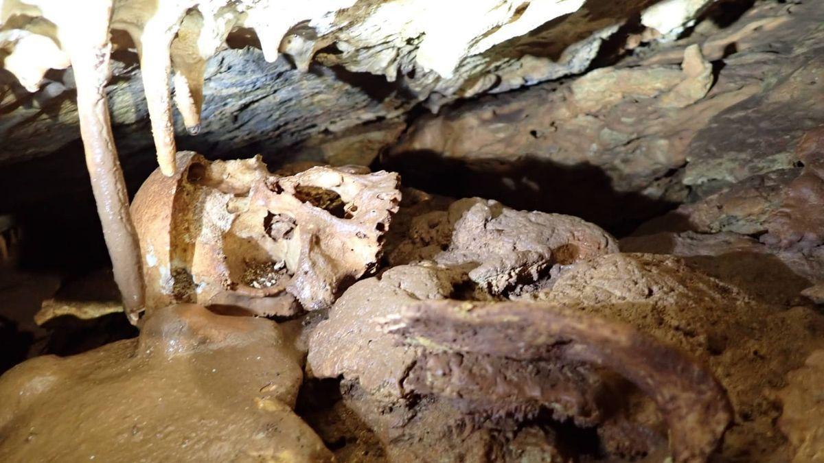 Imagen del cráneo humano que los espeleólogos hallaron en una cueva de Tales.