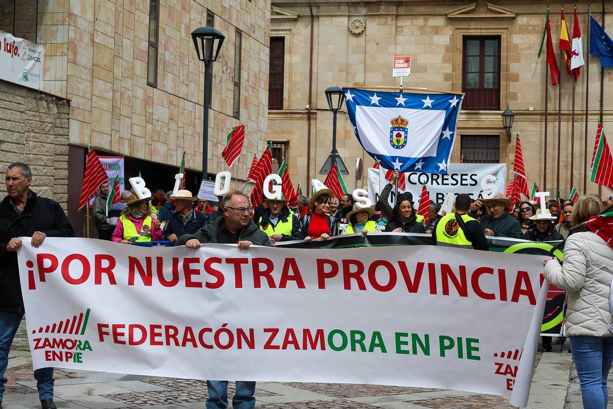 Ni molinos ni biogás: la oposición al nuevo mapa energético convoca a un millar de zamoranos en la capital