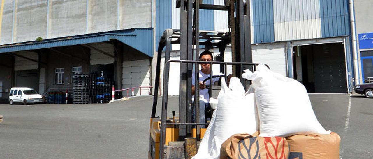 Un empleado transporta harina en la sede de Haricana de Arinaga.