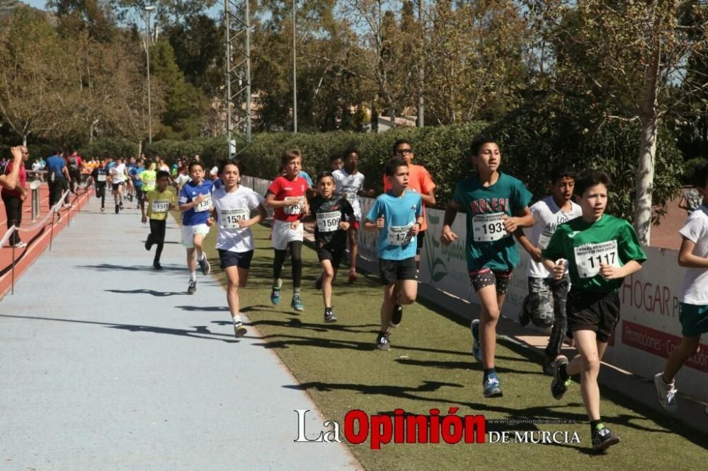 Final Cross Escolar de Lorca . Alevín masculino