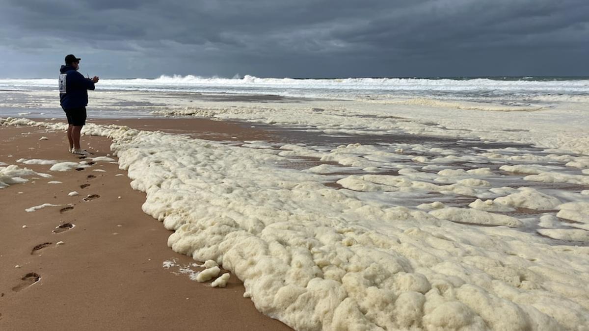 La aparición de una misteriosa espuma fue la primera señal de la mortandad