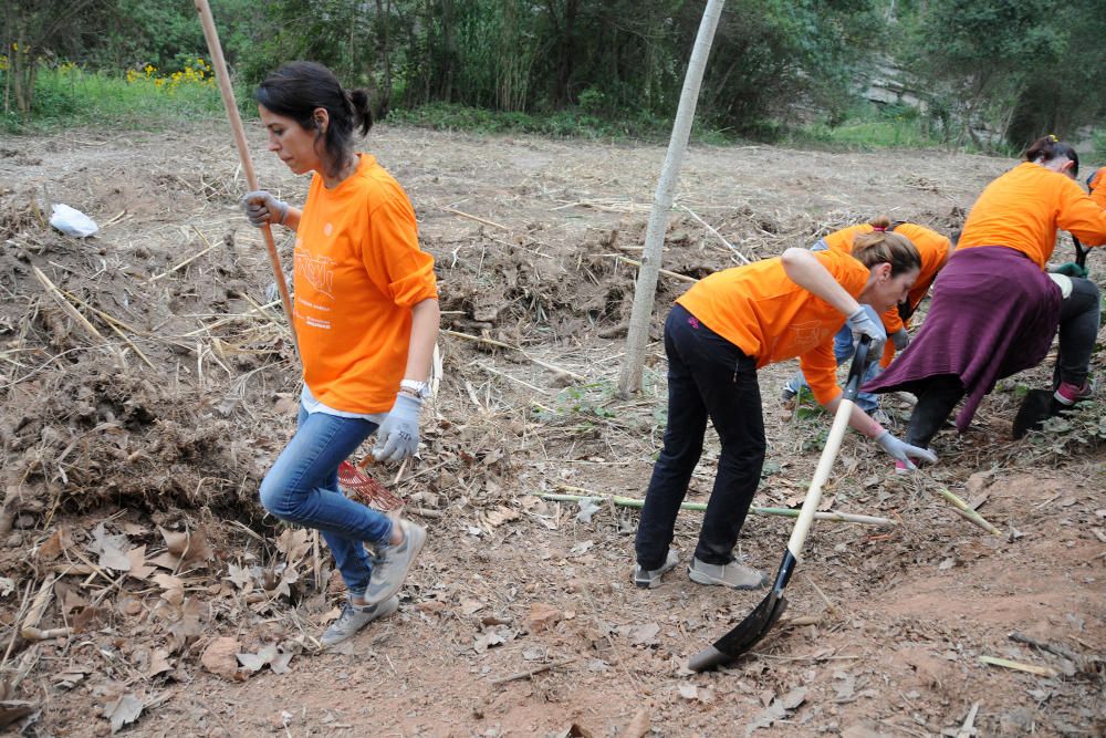 Neteja de la vora del riu Cardener a càrrec dels membres i voluntaris del projecte Invulnerables