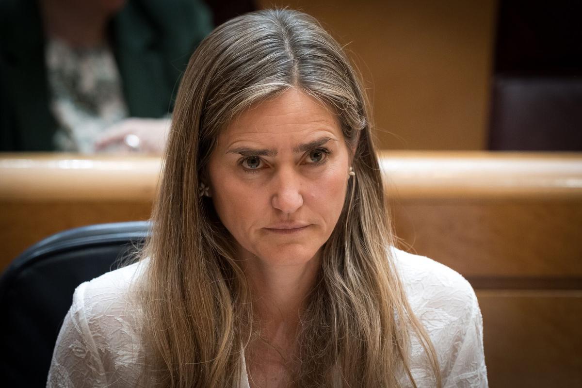 21/05/2025 La vicepresidenta tercera y ministra para la Transición Ecológica y el Reto Demográfico, Sara Aagesen, durante una sesión plenaria en el Senado, a 21 de mayo de 2025, en Madrid (España). Aagesen comparece en el Senado sobre el apagón del 28 de abril que afectó a la península. Asimismo, el PP tiene previsto aprobar en el pleno la creación de la comisión de investigación sobre lasresponsabilidades en la gestión del apagón energético que sufrió la Península Ibérica el pasado 28 de abril. POLITICA Diego Radamés - Europa Press