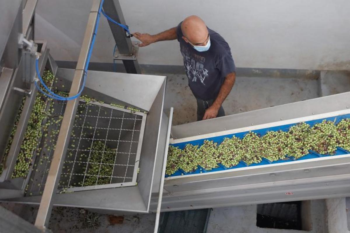 El ‘trull’ de Sant Joan espera 260 clientes esta temporada |