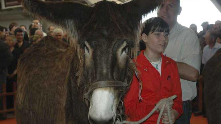 Un buche rodeado de varias personas en la feria celebrada en San Vitero el año pasado.