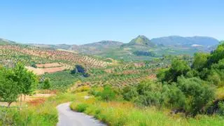 La Vía Verde más premiada de Europa está en España y mide 36 kilómetros