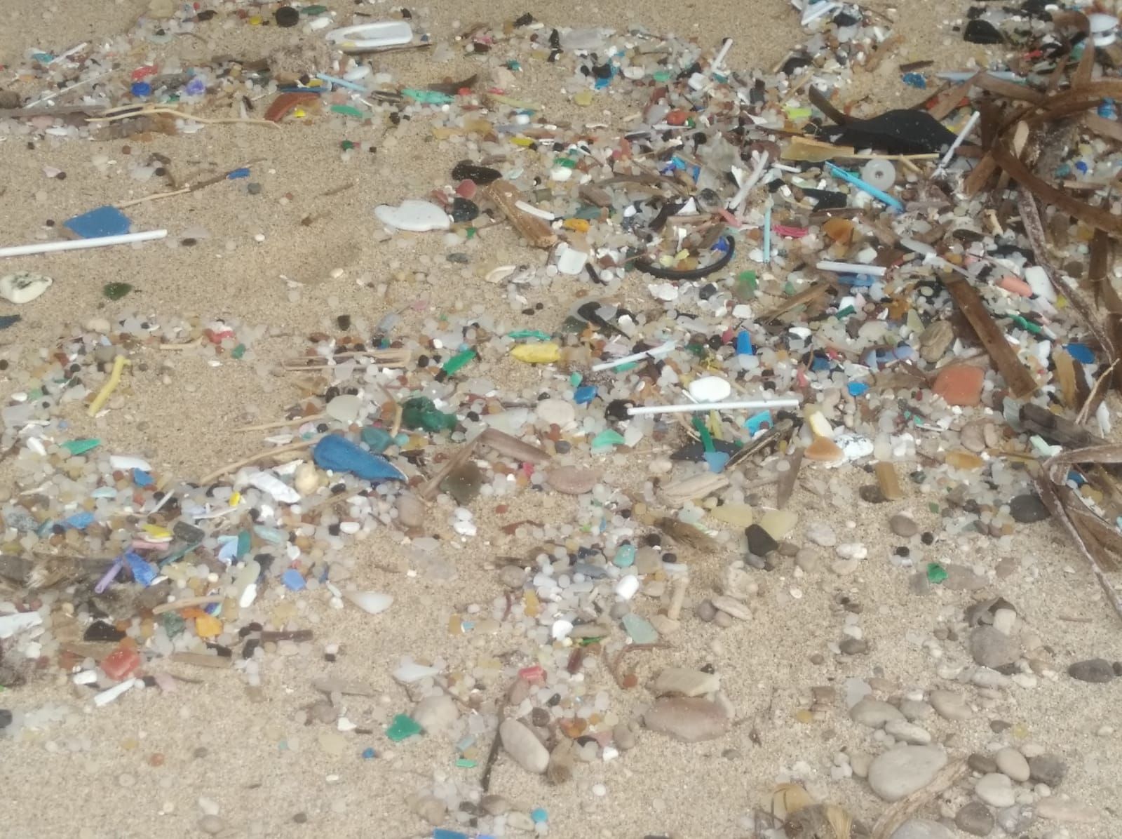 En la costa de Formentera hay más basura que nunca