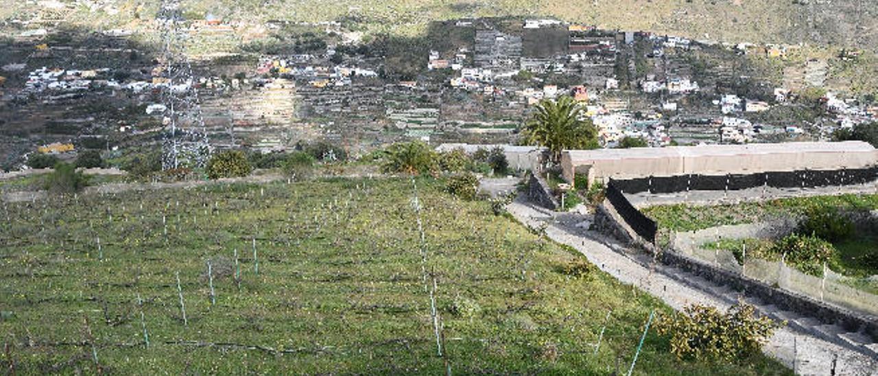 La finca de El Viso recupera la actividad con un proyecto de integración social