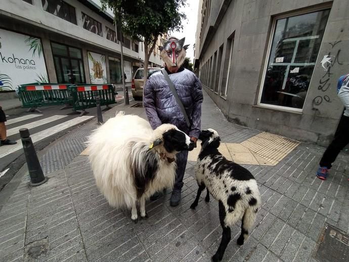 Cabalgata Infantil del Carnaval de Las Palmas de Gran Canaria 2020