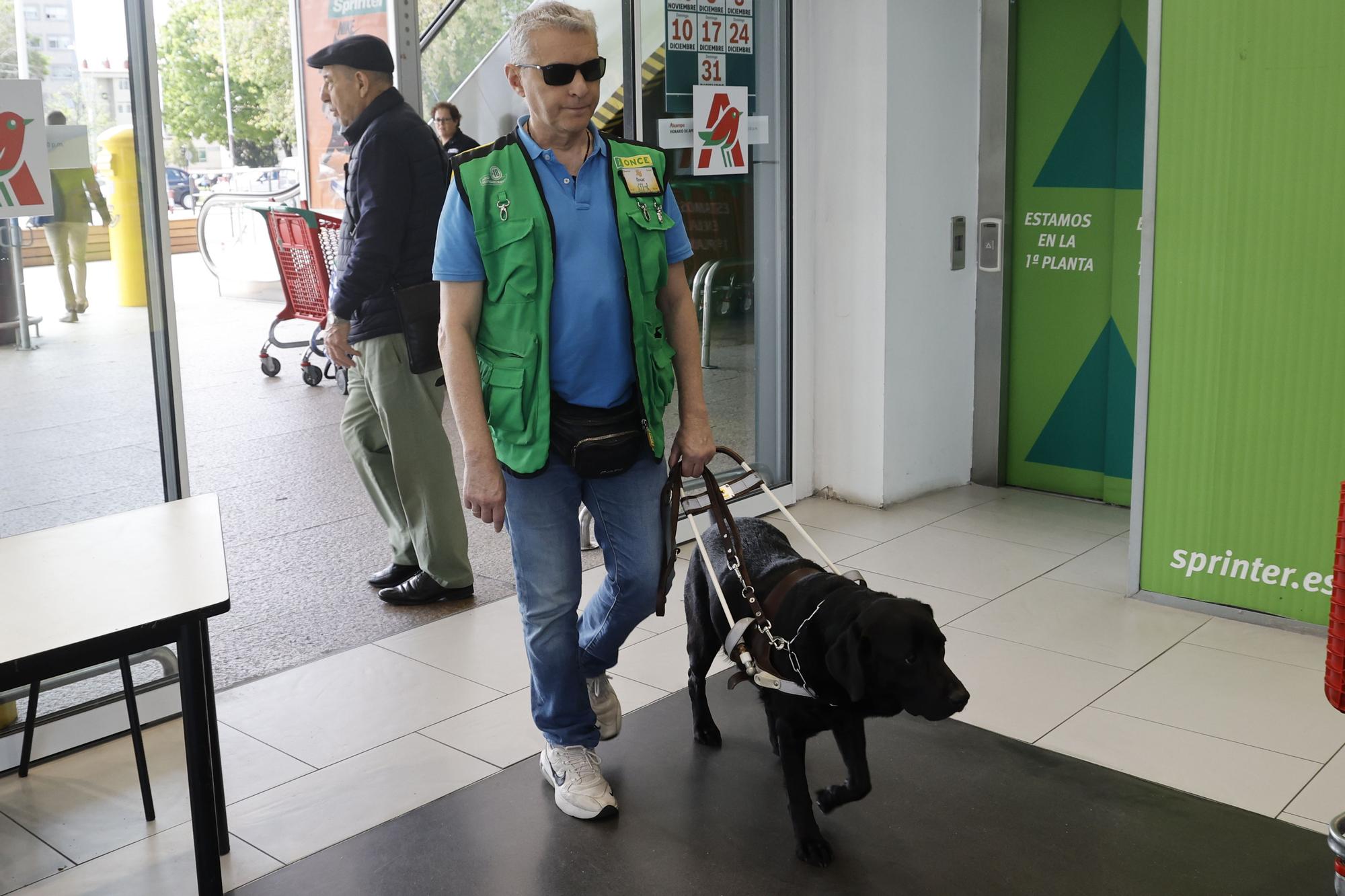 El oficio del perro Topi: guiar a su dueño invidente