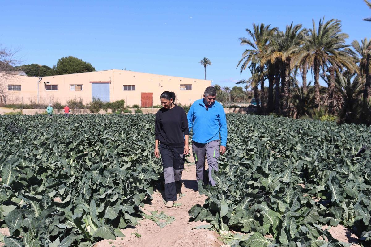 Andrés Soto junto a su mujer, también agricultora en el Campo de Elche