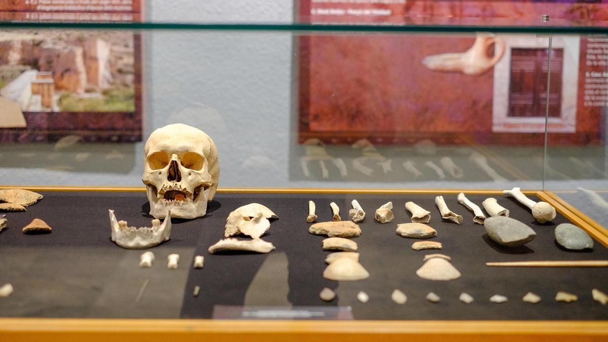 Imagen de archivo de uno de los expositores del Museo Arqueológico de Elda.