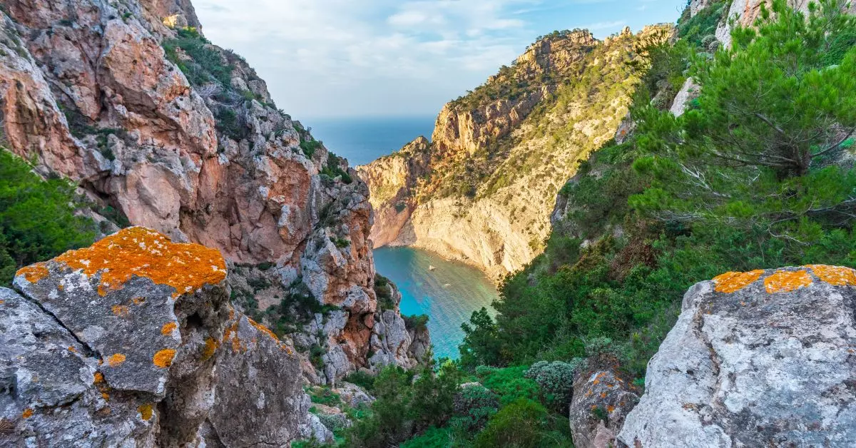E6Eb4155 5800 4Ecd B7C6 Ece4933B711B Source Aspect Ratio Default 0 &Ndash; Diario De Ibiza News