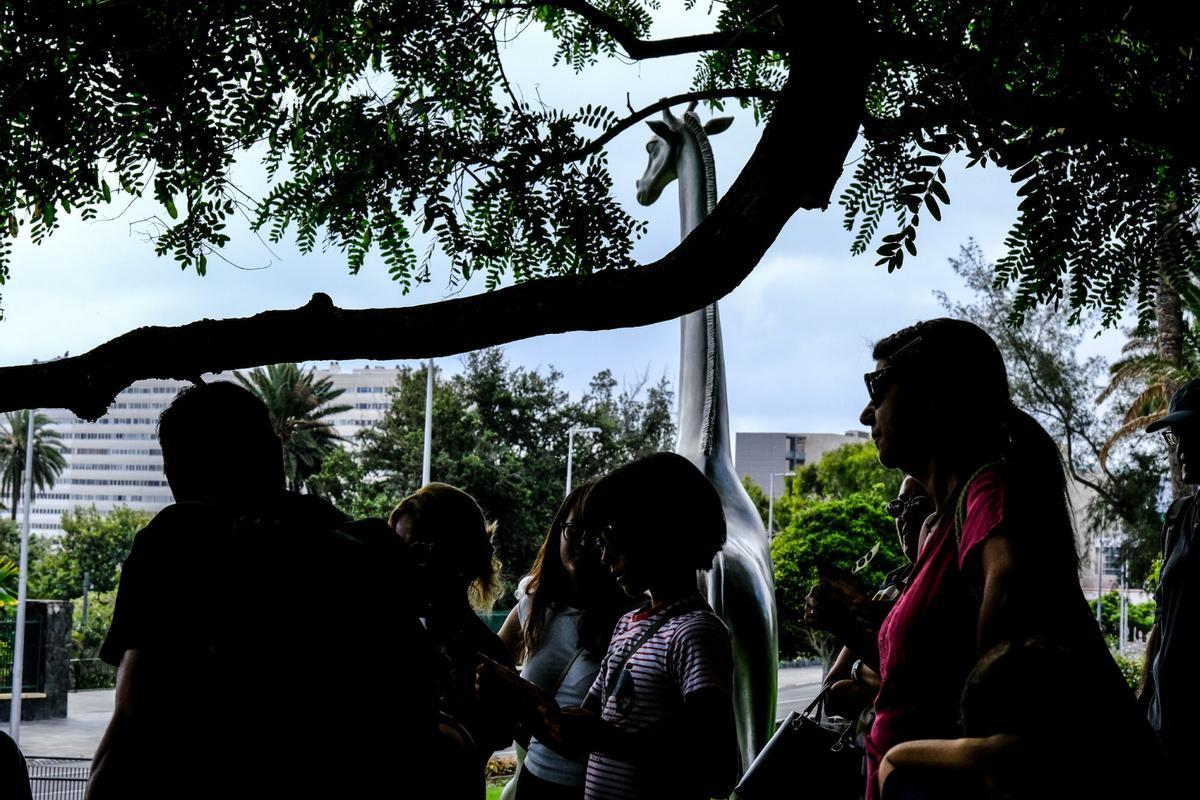 Actividad familiar en busca de los animales escondidos en Las Palmas de Gran Canaria