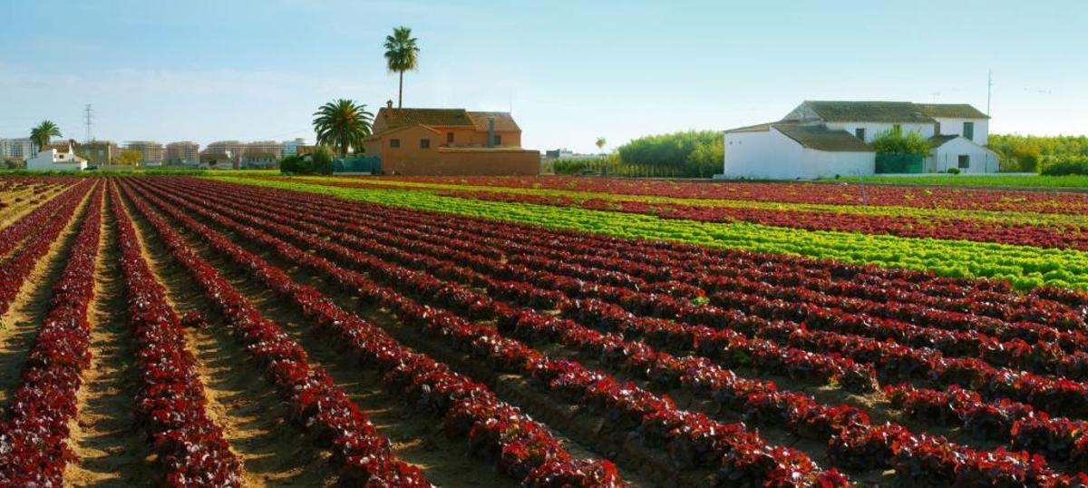 Viviendas tradicionales: la masía, la barraca y la alquería