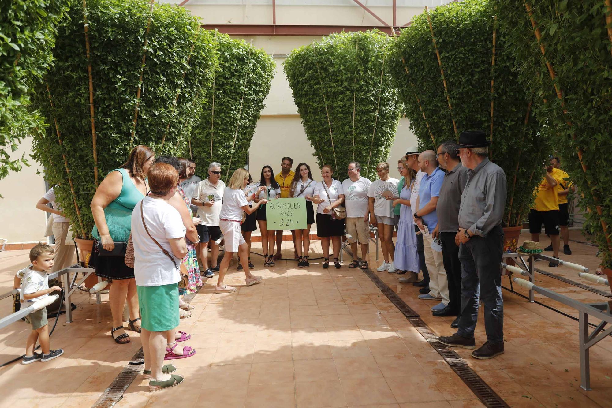 Las alfàguebes de Bétera marcan un nuevo Record Guinness