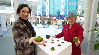 Cevisama 2024: jardines verticales con cerámica y otras innovaciones en la feria