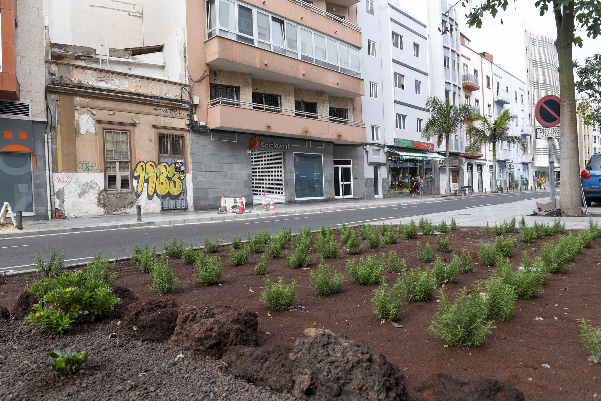 Último taller tradicional de la calle Venegas