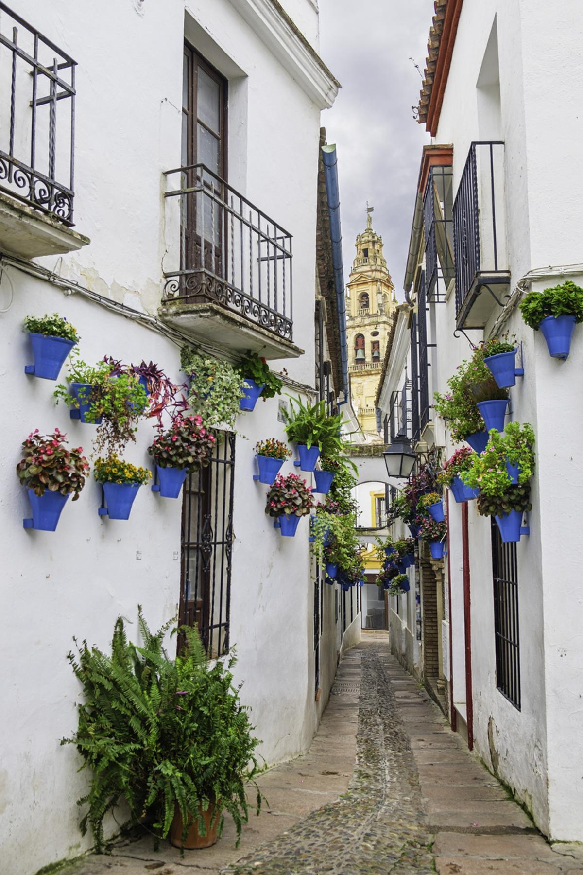 Calleja de las Flores en Córdoba, una de las callejuelas con encanto del casco antiguo