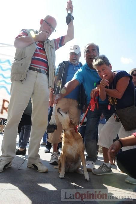 Los lodos del Mar Menor llegan a Murcia